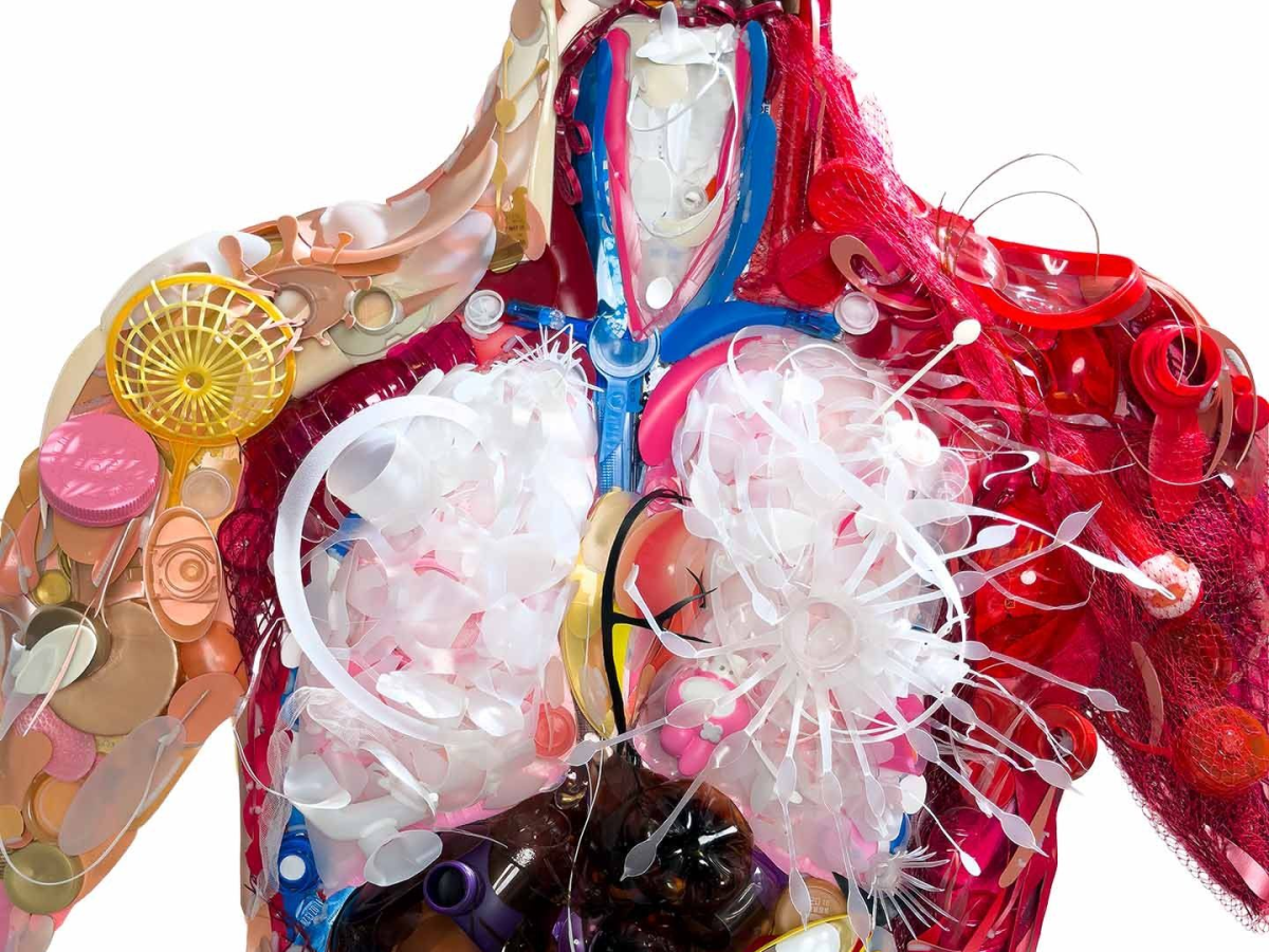Plastic, Party of One Trillion, Your Table Is&nbsp;Ready